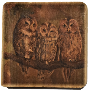 Rustic Wooden Set of Coasters (4) with Terri Palmer's Animal Art Reproductions