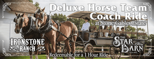 Deluxe Horse Team Coach Ride at Stone Gables Estate - Gift Certificate